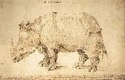 Albrecht Durer Rhinoceros painting